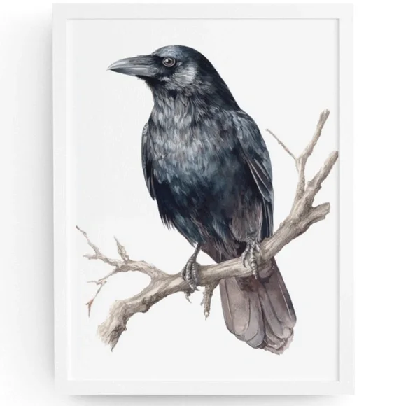 Watercolor Black Crow Wall Art Print Unframed - Black Bird Illustration Artwork - Picture 1 of 6